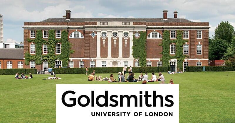 Non-Executive Council Member - Goldsmiths University image